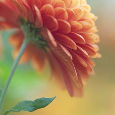 江南足球app截图