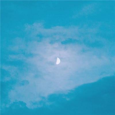 ManBetX客户端登录手机app下载